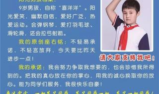 十佳少先队员事迹简介 十佳少先队员事迹简介