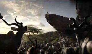 最新电影上映2019